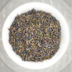 Lavender - Lavandula angustifolia - Loose - IMG_2913